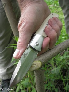 Tell us how you used your knife this past weekend. The knife is the Fallkniven PXLim. (Mary Lou Ayres photo)