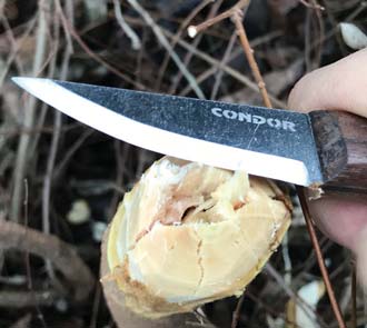 Woods Wise bushcraft knife review