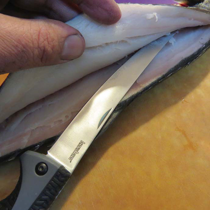 kershaw folding fillet knife