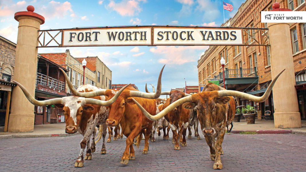 1920X1080_Visit_Fort_Worth_The_Herd_d3193904-b6ca-4c0d-818e-1cb8175d6607