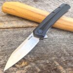 Assist Kershaw Raygun Blade