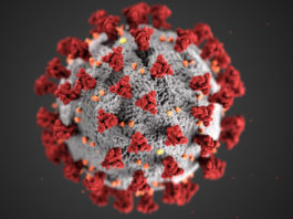 Coronavirus