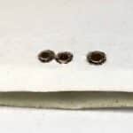 Dots 2