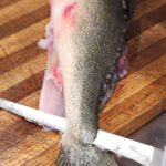 Fillet 1