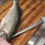 Fillet 2