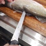 Fillet 6