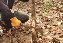 Gloved hand chopping