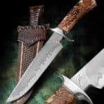 Hamon 7