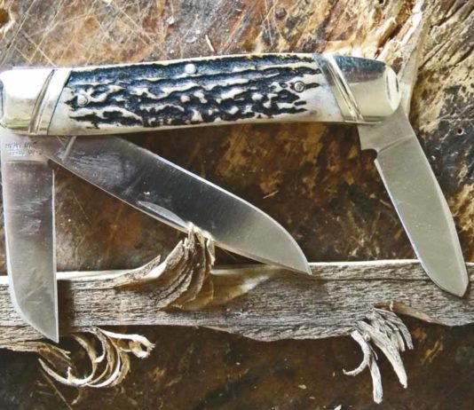 The main blade carved nice curly-cues with great control. The sheepsfoot had a tendency to dig deeper into the pine for thicker curly-cues. The spey was about midway on the curly-cues and depth of cut.