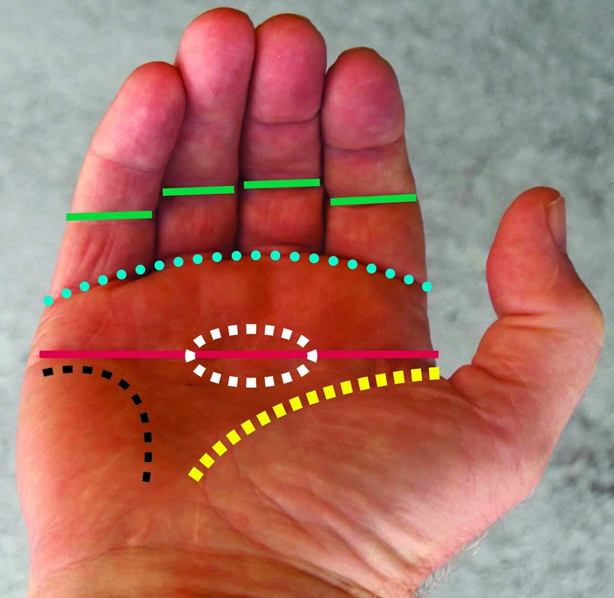 Knife Handle Ergonomics 101 Getting A Grip On The Basics BLADE Magazine