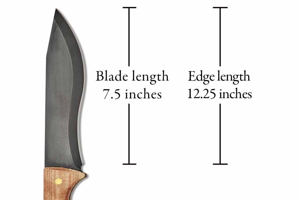 How much length does a recurve add to the edge of a blade? This chart compares the length of the ’Squatch blade to the length of the actual sharpened edge. The curved top edge blade of a straight blade might add 2-to-3 inches to the edge. The Sasquatch’s recurved edge stretches the increase to 4.75 inches.