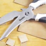 Shears 1
