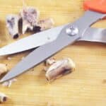 Shears 4