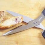 Shears 9