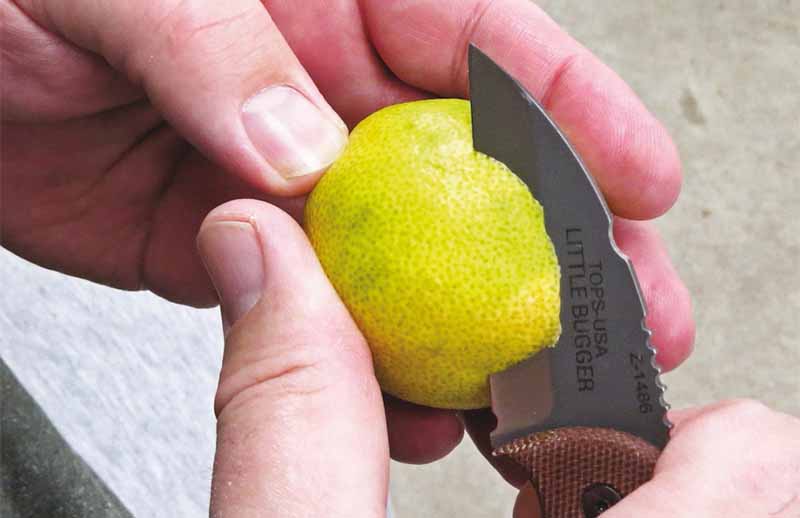 You can peel a lime with many knives, but the straight edge of the Little Bugger excels at the task. A little  knife with a fi ne edge can do a range of chores, from semi-heavy to delicate
