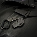 Talon – Photo 2