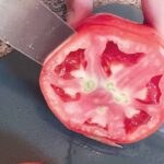 Tomato 3