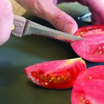 Tomato 5