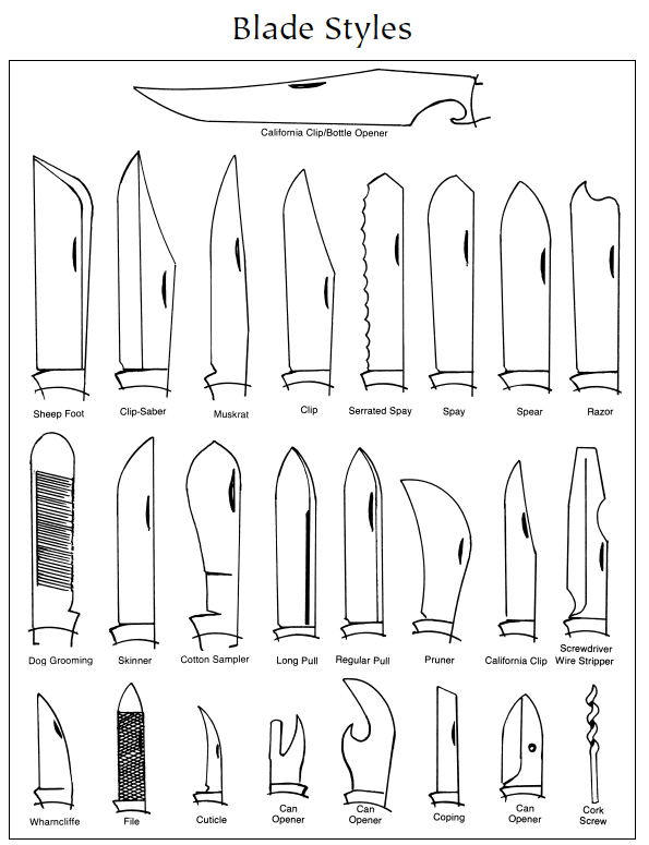 Illustrated Guide to Types of Blades