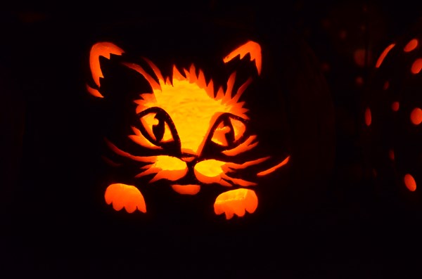 cat pumpkin carving