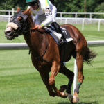 racehorse-featured