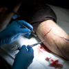 stitches-newsletter