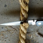 taloncut1inch