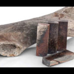 types-of-knife-handle-materials