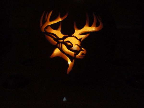 deer pumpkin carving